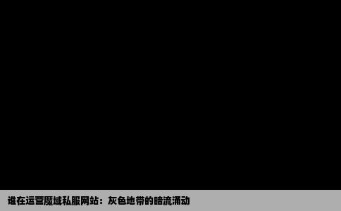 谁在运营魔域私服网站：灰色地带的暗流涌动